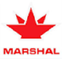 13 logo